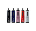 Sky Hunter Twist Slim 2600 Closed Pod Vape Kit 20mg - Vapestore Direct